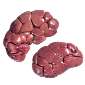 Beef Kidney